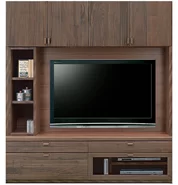 テレビボード（壁掛けパネルセット）、壁面収納型テレビボード（ハイタイプテレビ台）(幅168cm・ウォールナット)