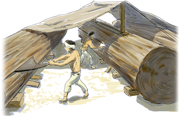 木挽き職人による作業イメージ