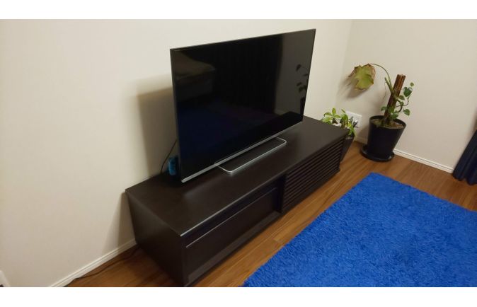 大川家具のテレビボードとラグと観葉植物のコーディネート