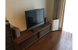 空気清浄機の隣に設置された大川家具のテレビボード(ウォールナット色)(太陽家具)