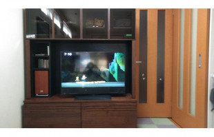 リビングに設置された大川家具のテレビボード(リビングハウス西武池袋店)