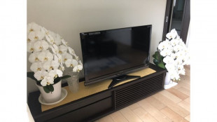 左右に胡蝶蘭が飾られた横須賀市S.Y様の無垢テレビボード