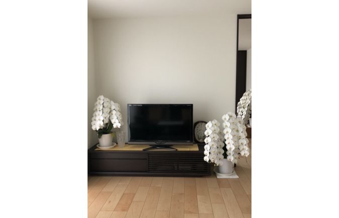 フローリングに引き立つオークダーク色の大川家具のテレビボード