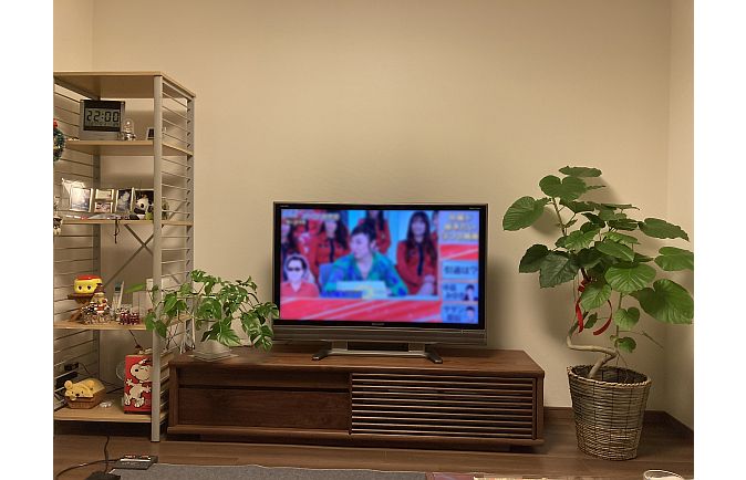 観葉植物の緑に囲まれた周南市Y.T様の無垢テレビボード(太陽家具徳山店)