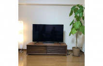 大川家具のテレビボードとスタンドライトと観葉植物