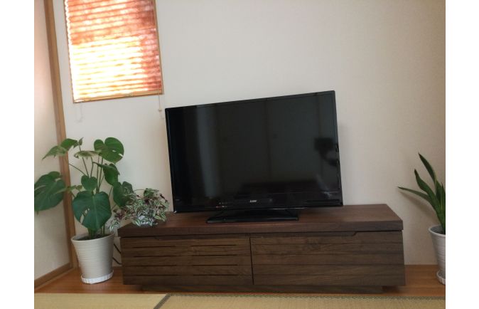観葉植物に挟まれて設置された和モダンな大川家具のテレビボード