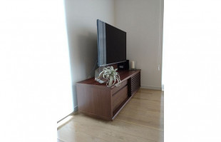 エアプランツが飾られた大川家具のテレビボード「ソリド」