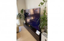 大川家具のテレビボードと空気清浄機と観葉