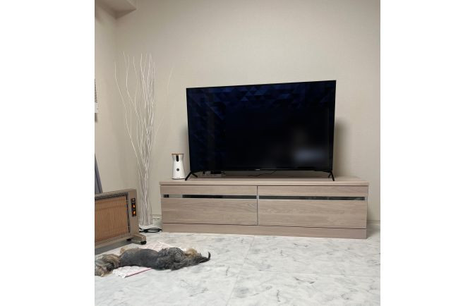 ストーブにあたる犬と大川家具のテレビボード(リビングハウス横浜店)