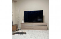 ストーブにあたる犬と大川家具のテレビボード