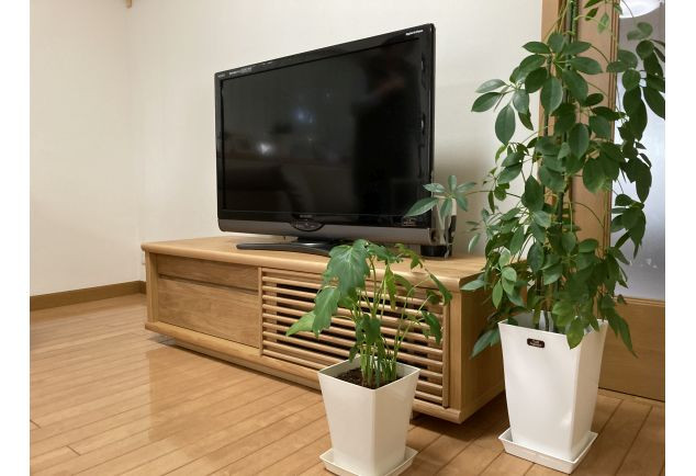 観葉植物2つがアクセントの大川家具のテレビボード